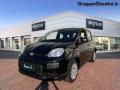 Km 0 FIAT Panda