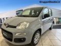 usato FIAT Panda