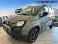 usato FIAT Panda