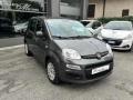 usato FIAT Panda