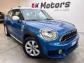 usato MINI Countryman