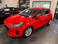 usato FORD Fiesta