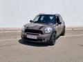 usato MINI Countryman