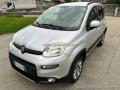 usato FIAT Panda