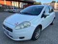 usato FIAT Grande Punto