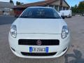 usato FIAT Grande Punto