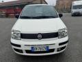 usato FIAT Panda