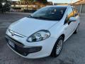 usato FIAT Punto Evo