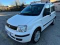 usato FIAT Panda