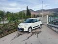 usato FIAT 500 L