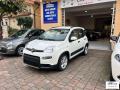 usato FIAT Panda