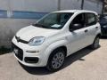 usato FIAT Panda