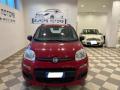 usato FIAT Panda