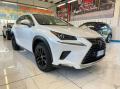 usato LEXUS NX