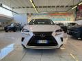 usato LEXUS NX