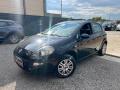 usato FIAT Punto