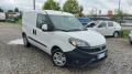 usato FIAT Doblo cargo 1.6 mjt 16v SX 105cv E5+ F.L.