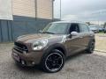 usato MINI Countryman