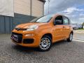 usato FIAT Panda