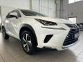 usato LEXUS NX 300