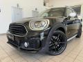 usato MINI Countryman