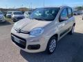 usato FIAT Panda