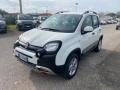 usato FIAT Panda Cross