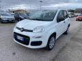 usato FIAT Panda