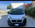 usato FIAT Ducato