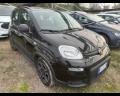 usato FIAT Panda