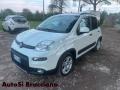 usato FIAT Panda