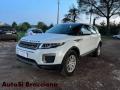 usato LAND ROVER Range Rover Evoque