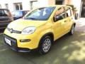 usato FIAT Panda