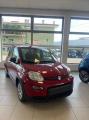 Km 0 FIAT Panda