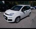 usato FIAT New Panda