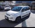 usato FIAT New Panda