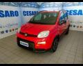 usato FIAT New Panda