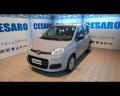 usato FIAT New Panda