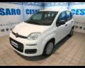 usato FIAT New Panda