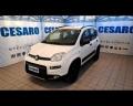 usato FIAT New Panda