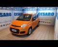 usato FIAT New Panda