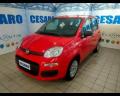 usato FIAT New Panda