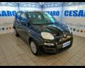 usato FIAT New Panda