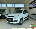 usato FIAT Panda