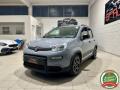 usato FIAT Panda