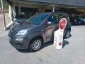 usato FIAT Panda