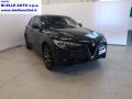 usato ALFA ROMEO Stelvio