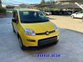 nuovo FIAT Panda