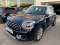 usato MINI Countryman