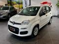 usato FIAT Panda